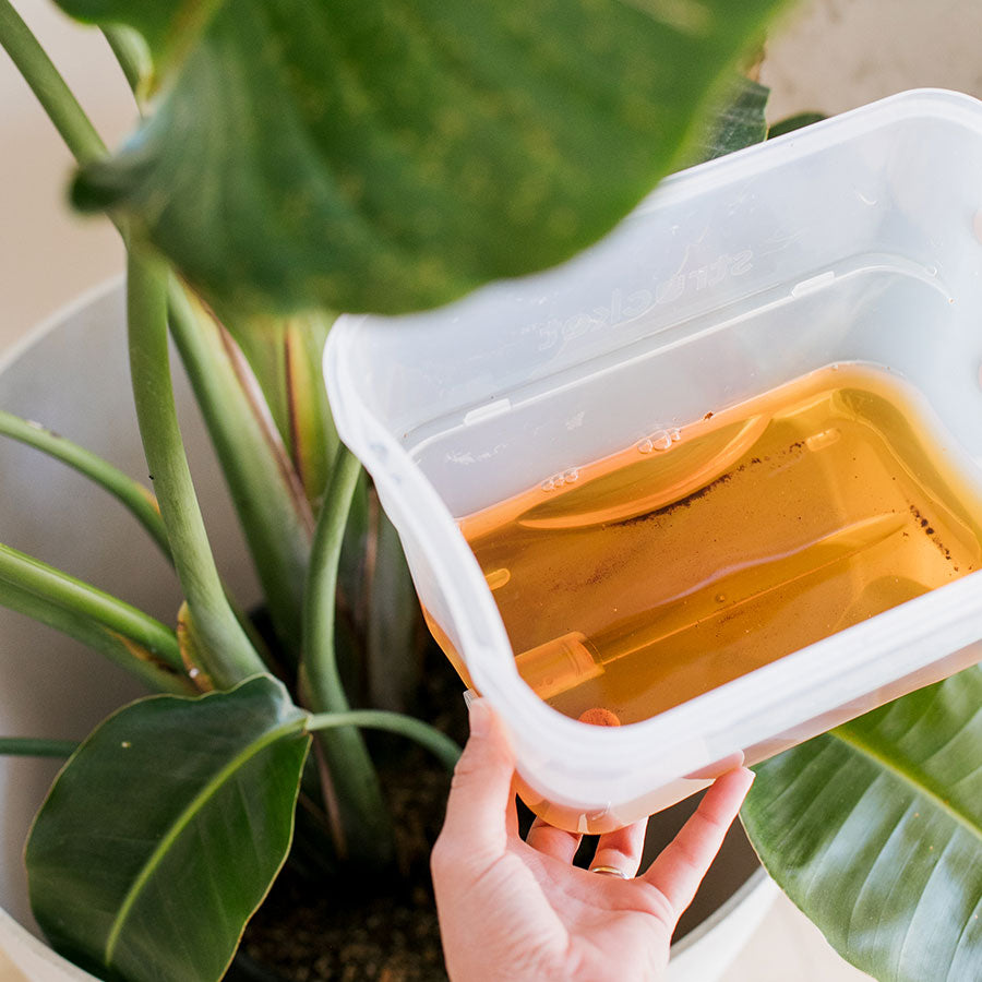 Strucket 4.5L Mini Strainer Bucket with Lid